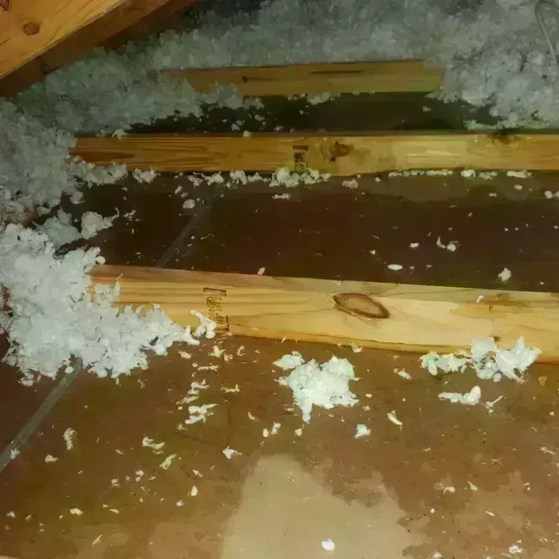 Attic Water Damage in Sacramento, CA