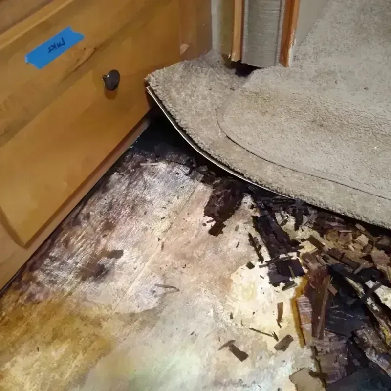 Wood Floor Water Damage in Sacramento, CA